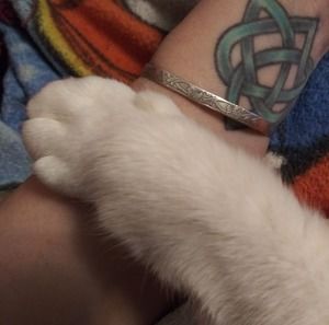 Meet your Posher, Ann